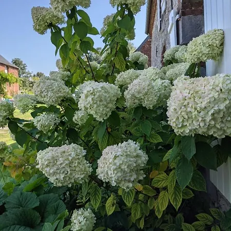 La Grange De לינה וארוחת בוקר