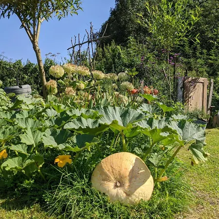 לינה וארוחת בוקר La Grange De Dourlers